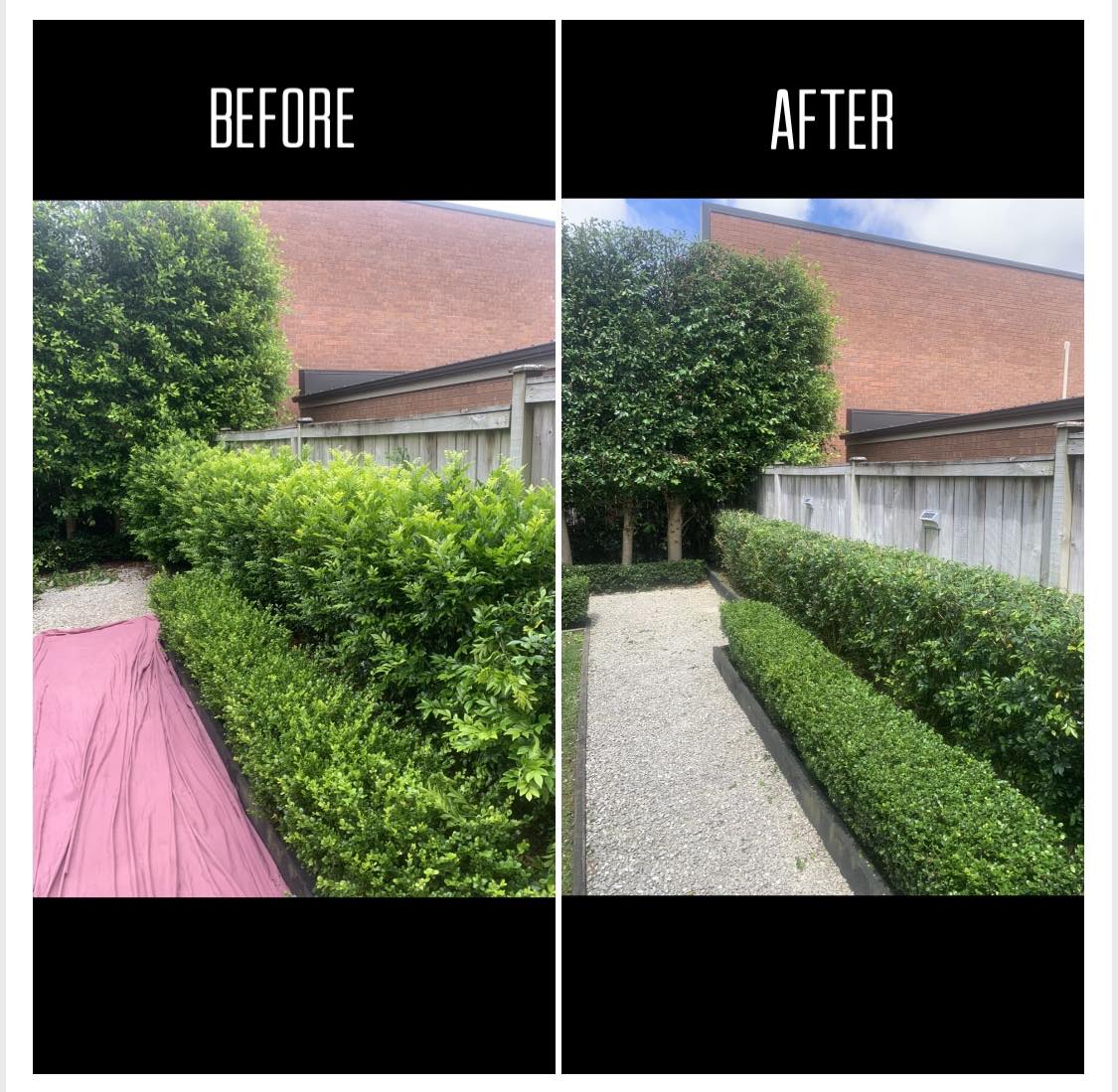 Before After of backyard