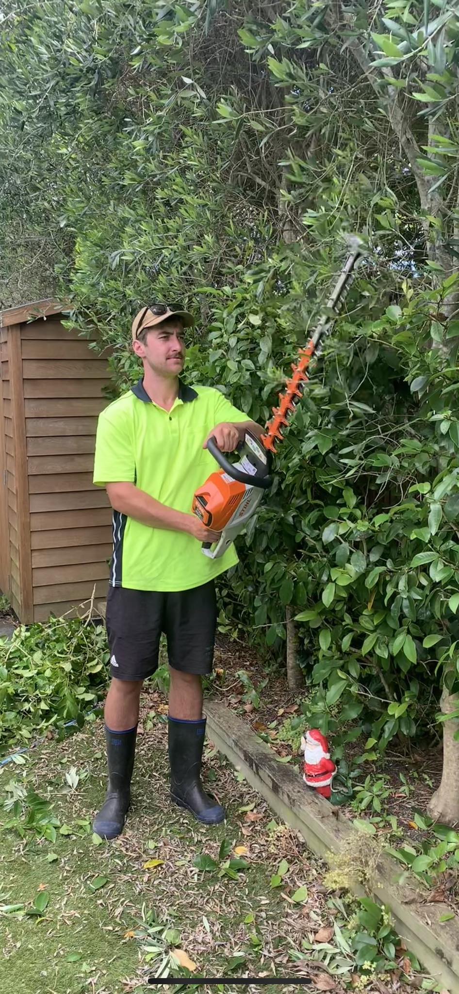 Ryan Trimming Hedge