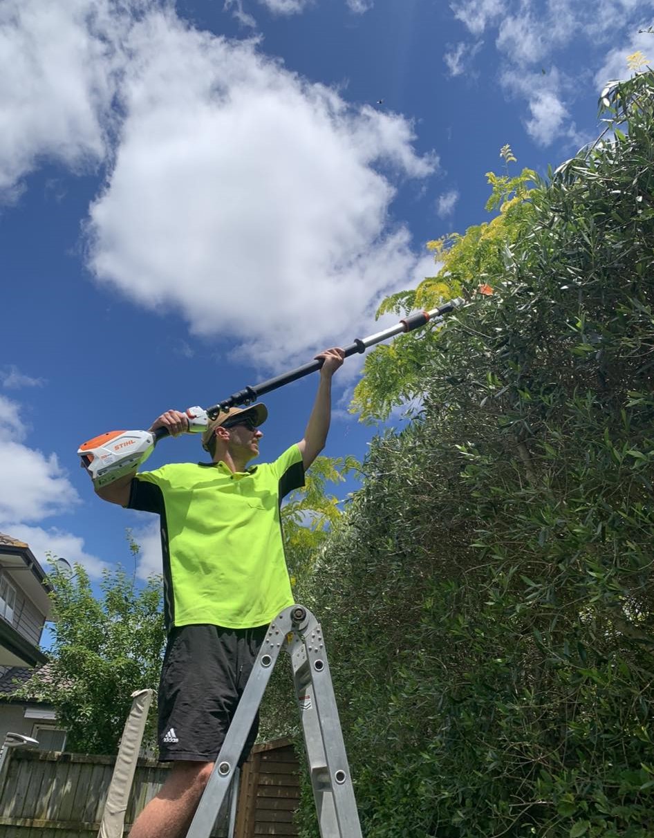 Ryan Trimming Hedge